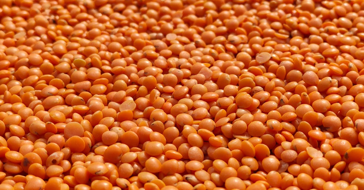 découvrez une recette savoureuse et saine de dahl de lentilles corail, parfait pour un repas réconfortant et riche en protéines végétales.