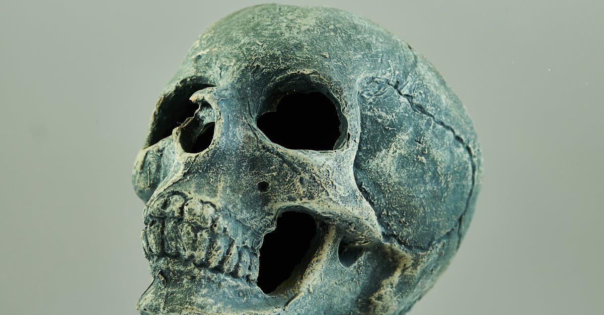 découvrez la recette traditionnelle de l'osso bucco, un plat italien savoureux à base de jarret de veau mijoté lentement avec des légumes, du vin blanc et des aromates pour un goût authentique et réconfortant.