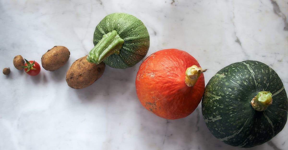 découvrez comment cuisiner la courge facilement avec nos conseils pratiques et recettes savoureuses.