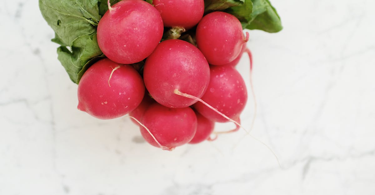 découvrez notre délicieuse tartinade de radis, fraîche et gourmande, parfaite pour vos apéritifs et en-cas sains.