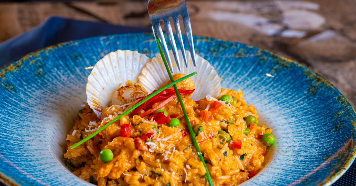 découvrez tout sur les coquilles saint-jacques : recettes savoureuses, conseils de préparation et bienfaits nutritionnels de ce délice de la mer.